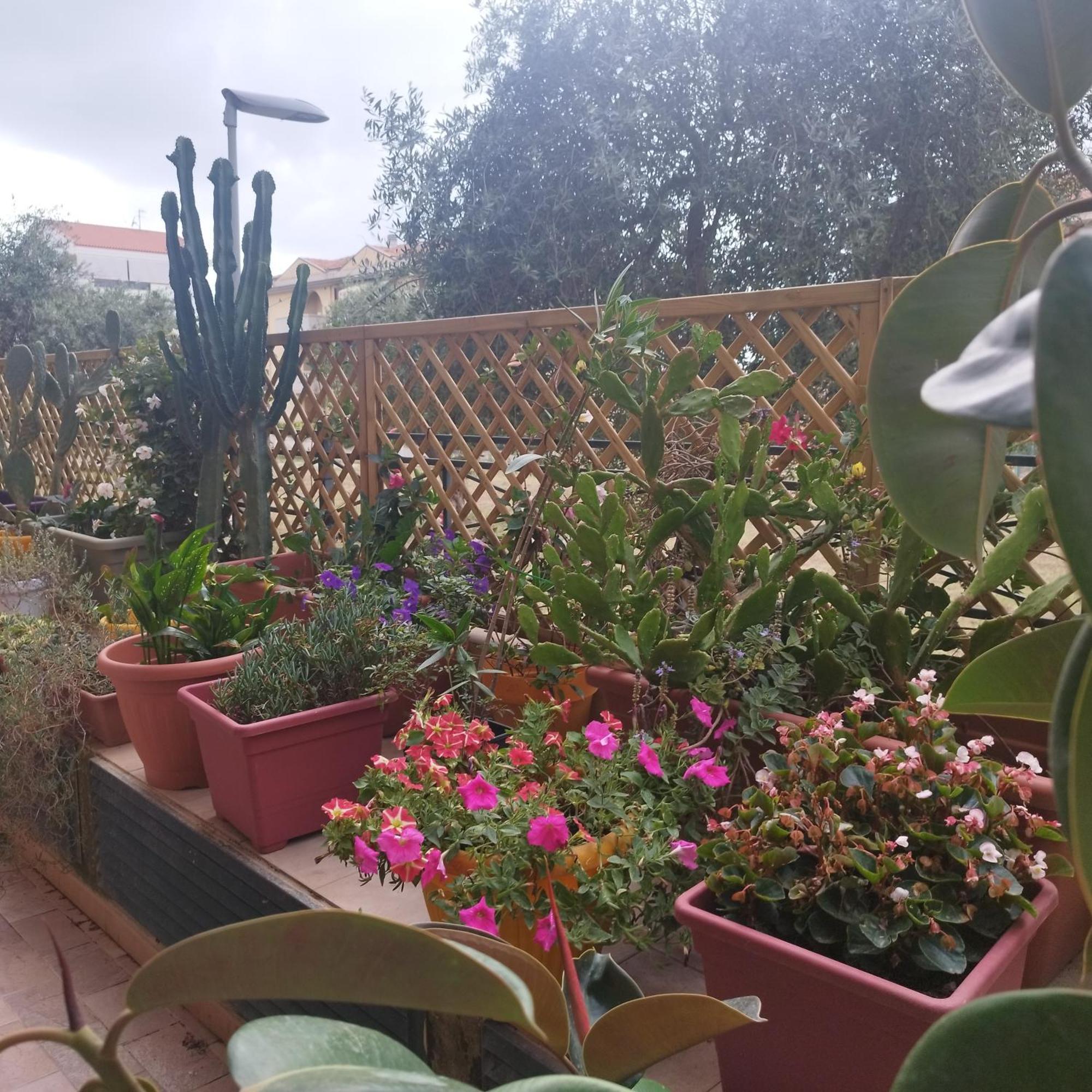 Alghero Lovely Flat公寓 外观 照片
