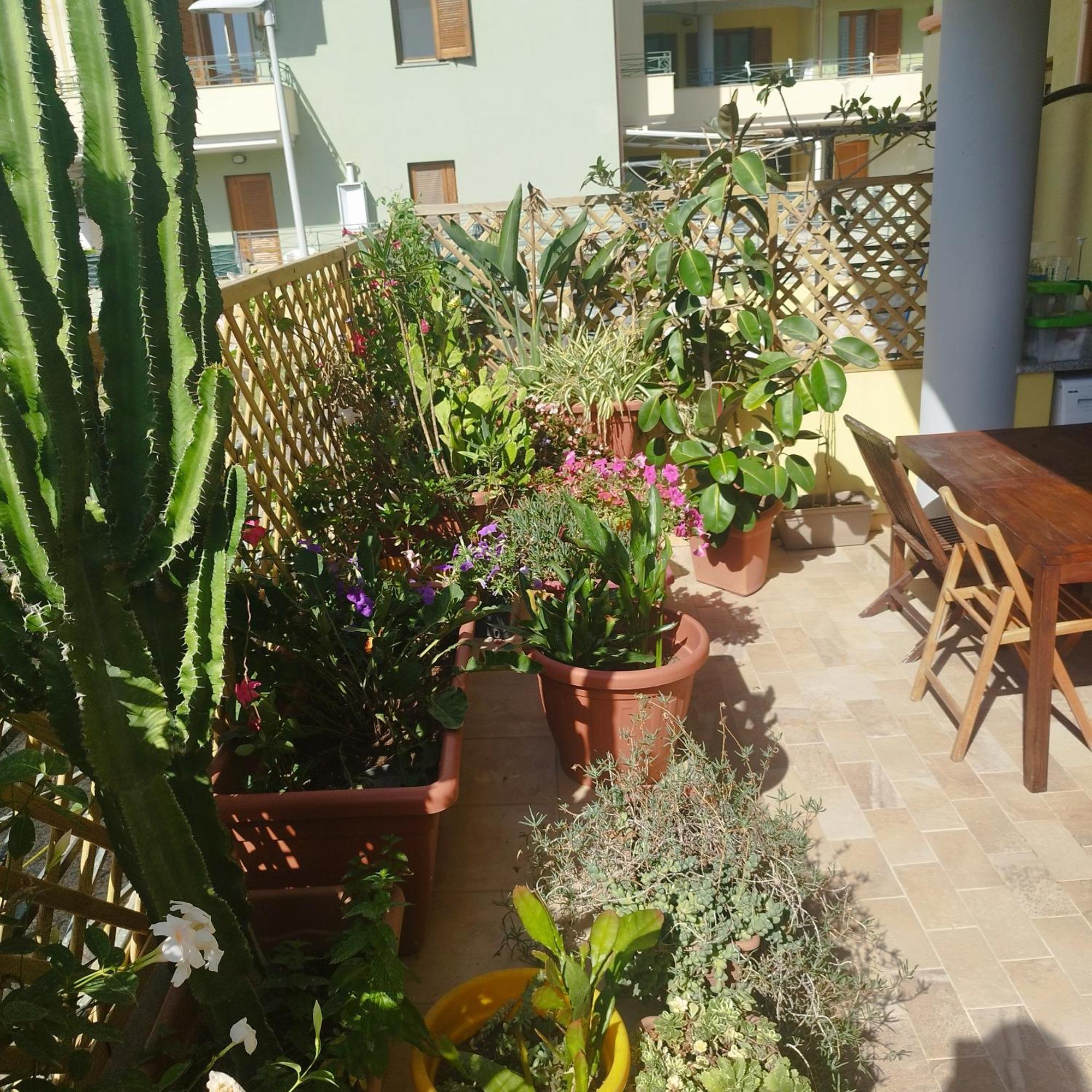 Alghero Lovely Flat公寓 外观 照片