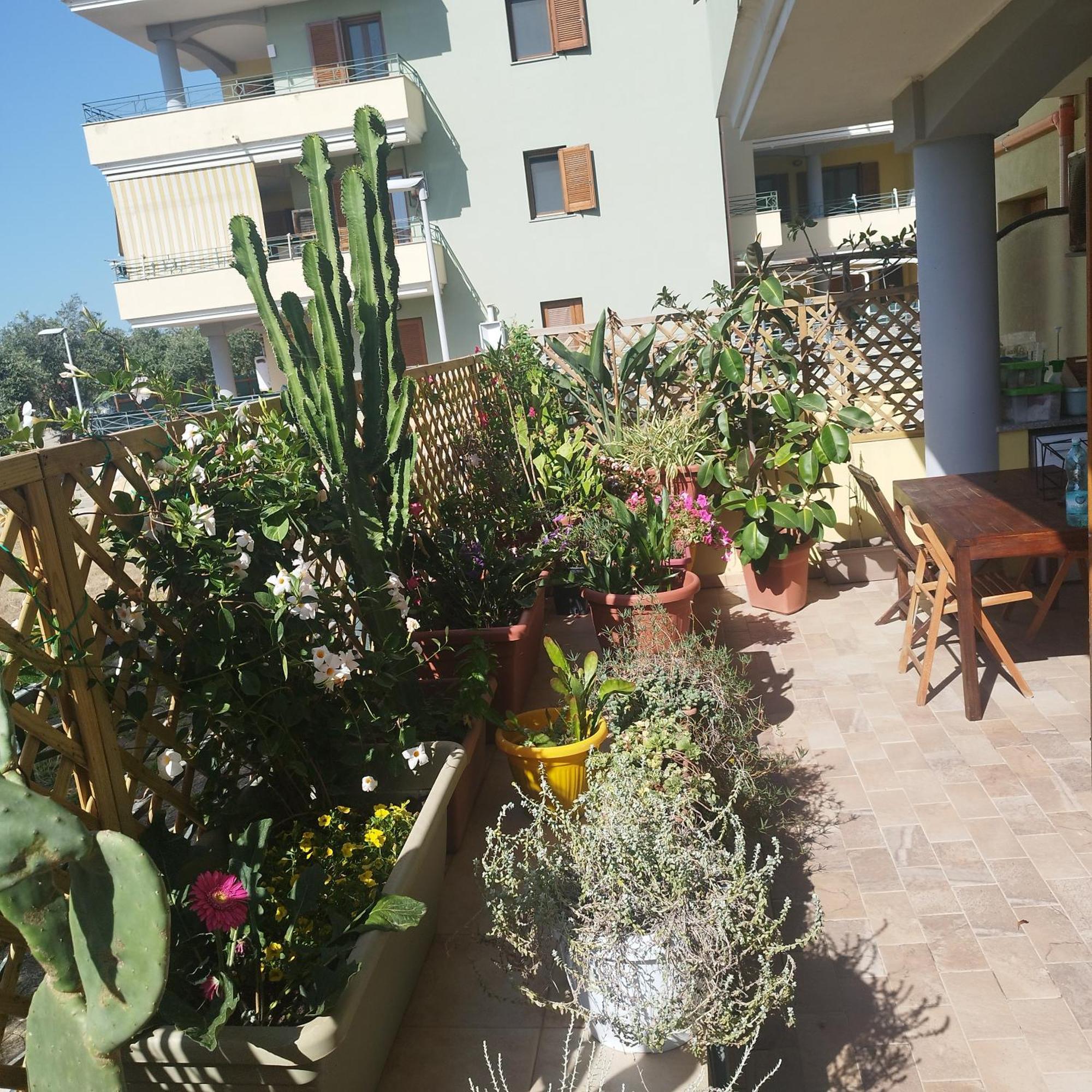 Alghero Lovely Flat公寓 外观 照片